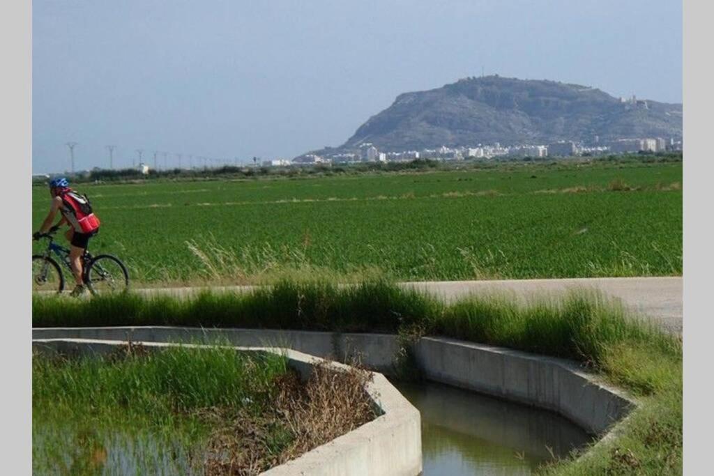 Apartment Aitana
